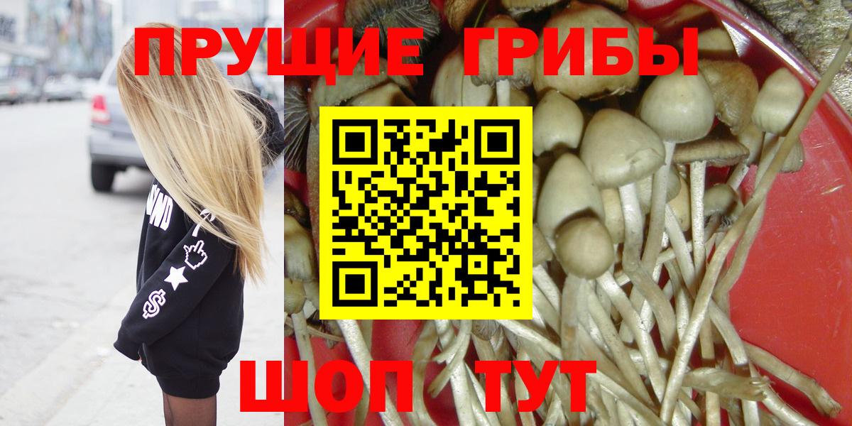 Галлюциногенные грибы прущие грибы Сорочинск